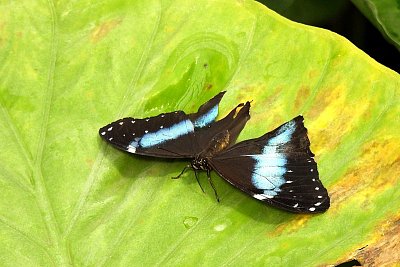 dscn7086-1.jpg