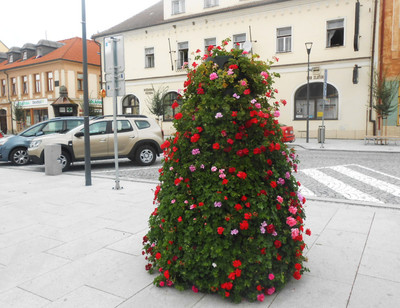 dscn7575.jpg