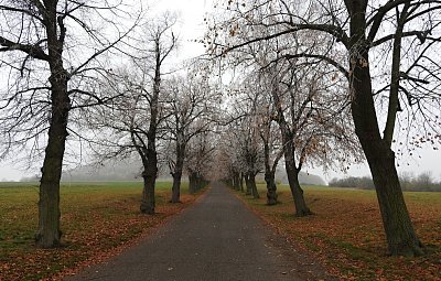 dscn7888-alej-k-ripu.jpg