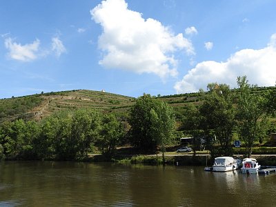 dscn7968vinice.jpg