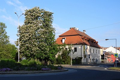 dscn8018.jpg