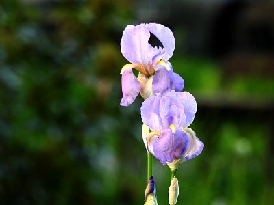 dscn8090-2.jpg
