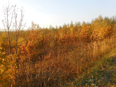 dscn8209.jpg