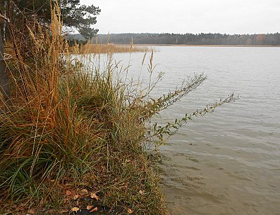 dscn8365.jpg