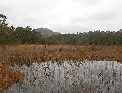 dscn8388.jpg