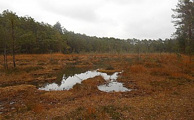 dscn8400-a.jpg