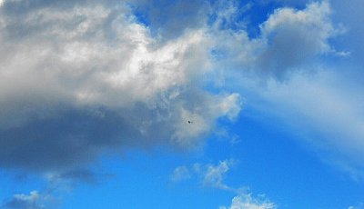 dscn8675-a.jpg