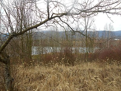 dscn8868.jpg