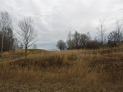 dscn8881.jpg