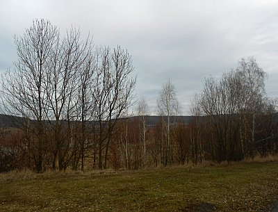 dscn8886.jpg