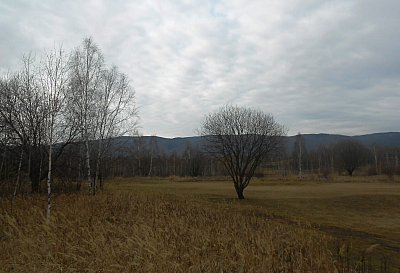 dscn8906-a.jpg