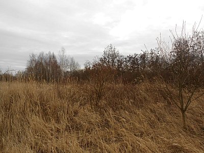 dscn8918-2.jpg