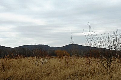 dscn8923-a.jpg