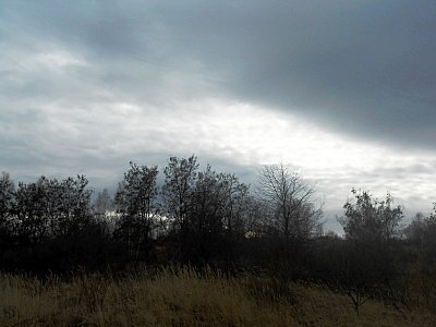 dscn8933.jpg