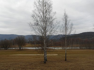 dscn8935.jpg