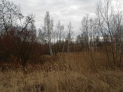 dscn8938.jpg