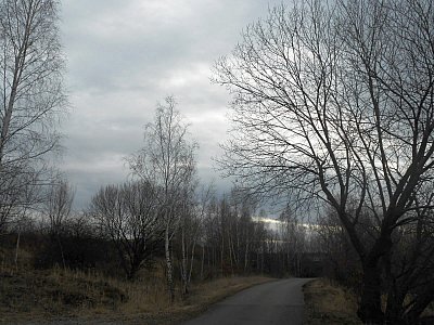 dscn8966-1.jpg