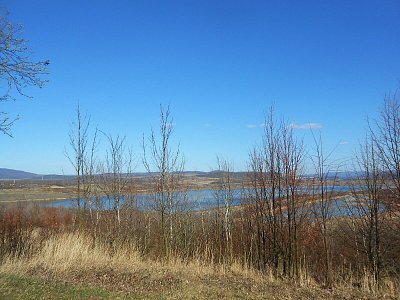 dscn9115.jpg
