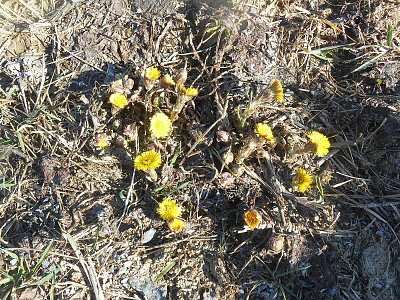 dscn9142.jpg