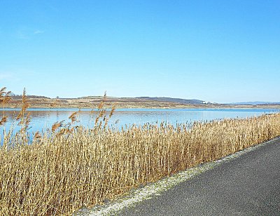 dscn9204.jpg