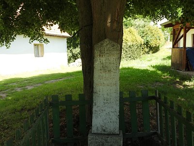 dscn9274-1.jpg