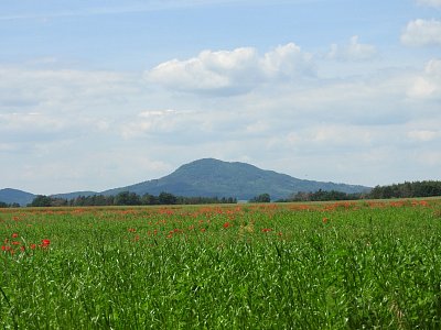 dscn9458.jpg