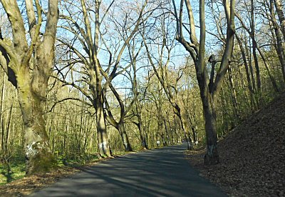 dscn9632-a.jpg