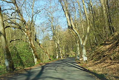 dscn9634-a.jpg