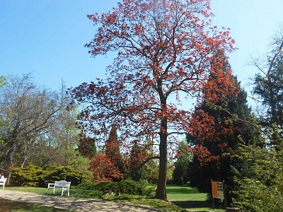 dscn9814.jpg