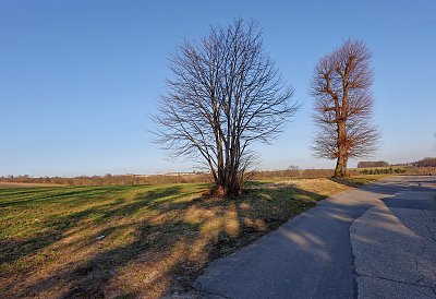 Čekání na jarní kabáty ...