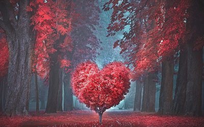 Každý víme už to své