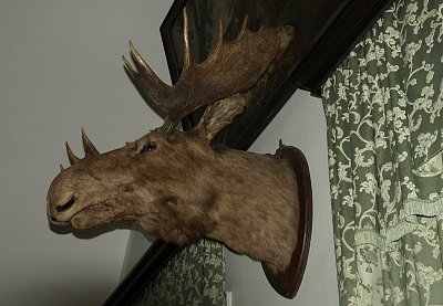 Emilův konec ... ? *