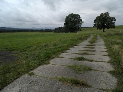 f06.jpg