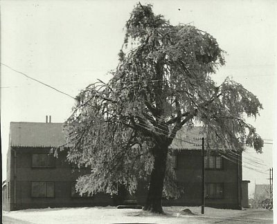 Dříve bývalo sněhu daleko víc
