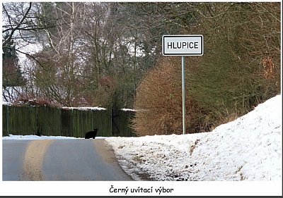 hlupice-uvitaci-vybor-.jpg