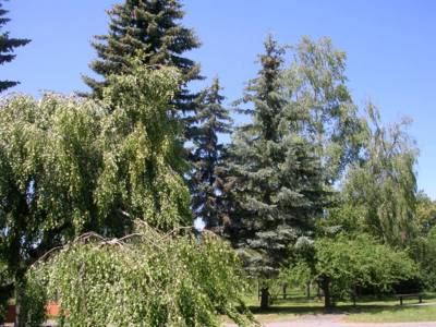 hradec-u-hvezdarny-2-.jpg