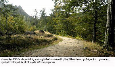 i03.jpg