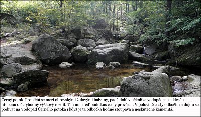 i04.jpg