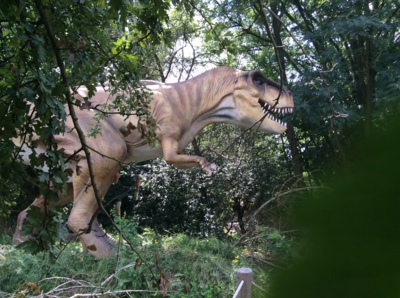 Tyranosaurus Rex od Chlumce n.C.