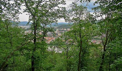 img-0085-4.jpg