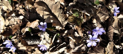 img-0163.jpg