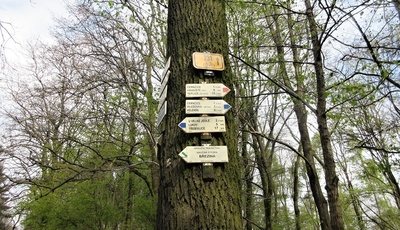 img-0214.jpg