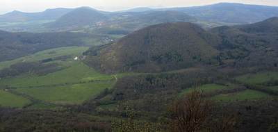 img-0273-1.jpg