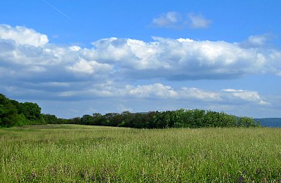 img-0322-4.jpg