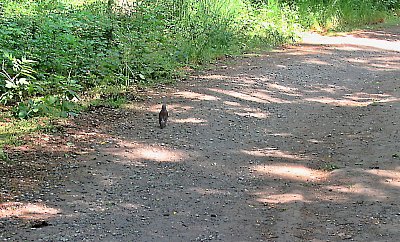 img-0329-1.jpg