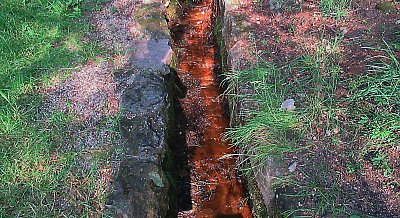 img-0421-1.jpg