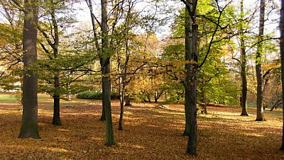 img-0461-3.jpg
