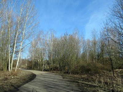 img-0616-1.jpg