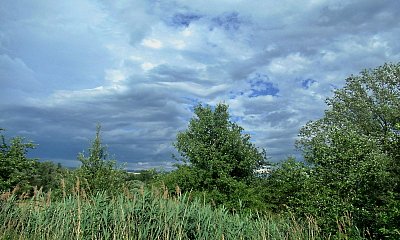 img-0626-1.jpg