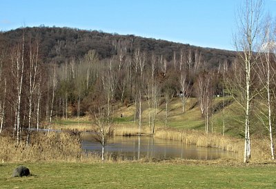 img-0696-2.jpg